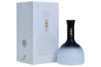 产品B1